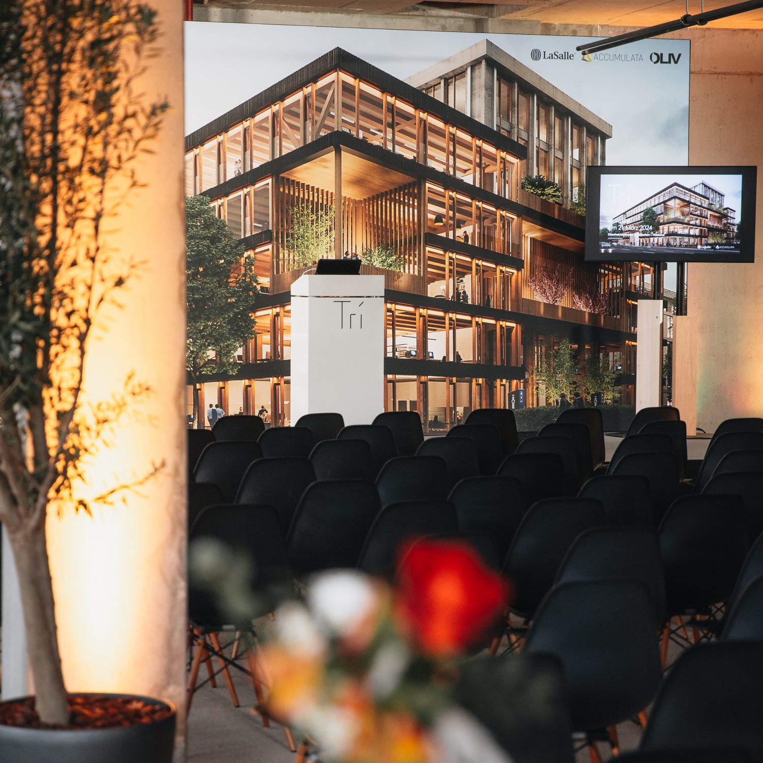 Startseite Accumulata